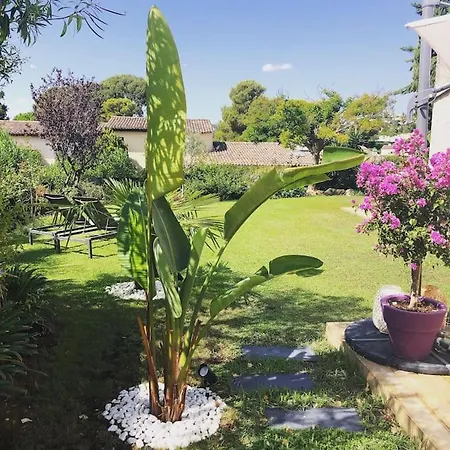Moderne Dans Un Domaine Prive Unique *